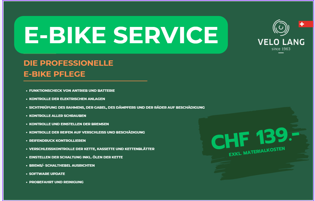 E-Bike Sevice