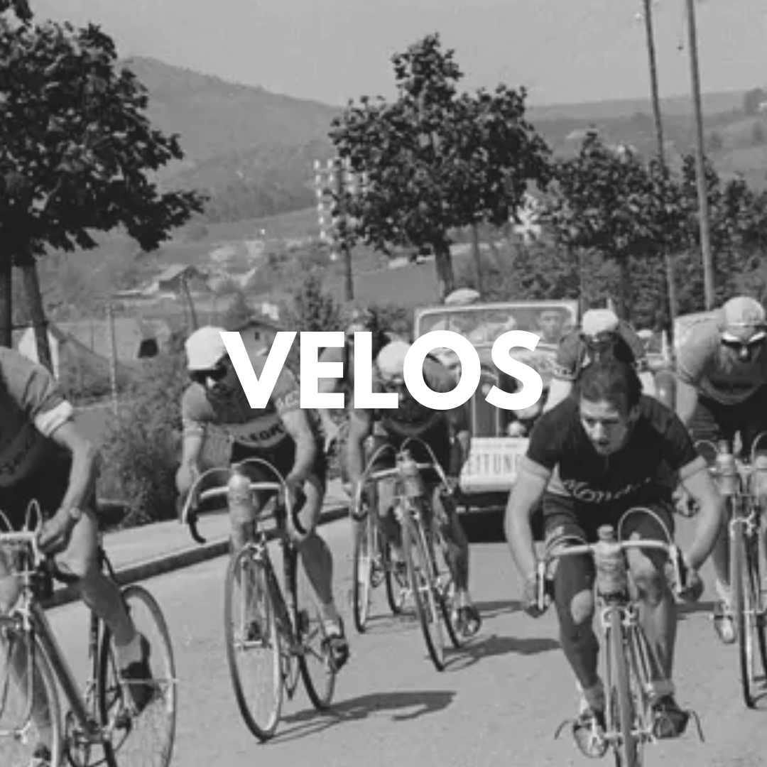 Velolang Fahrräder