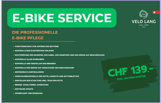 E-Bike Sevice